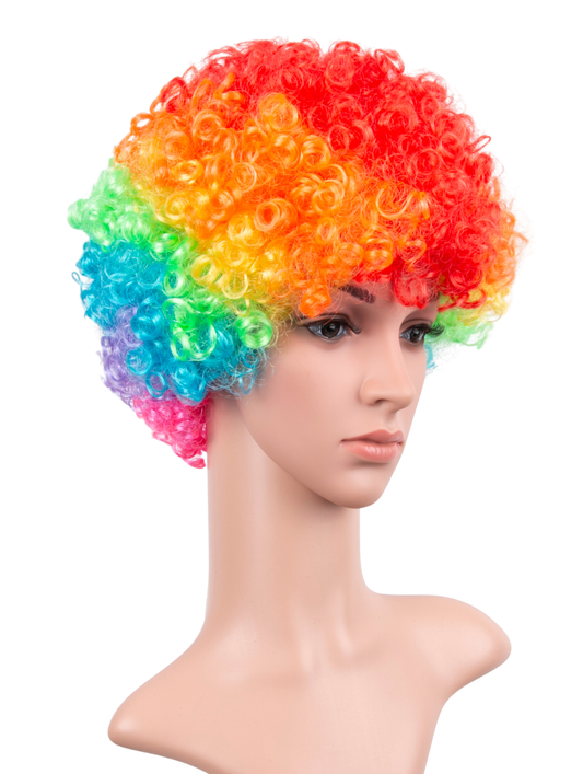 Rainbow Afro Wig