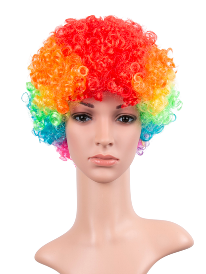 Rainbow Afro Wig