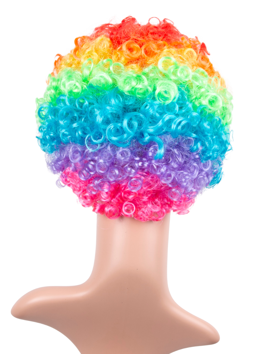 Rainbow Afro Wig