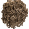 Claw Clip Clamp Bun