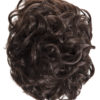 Claw Clip Clamp Bun