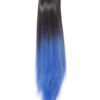 Dip Dye Straight Claw clip Ponytail