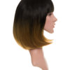 Ombre Full Head Bob Wig