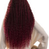 Lace Front Synthetic Full Head Wig