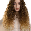 Lace Front Synthetic Full Head Wig