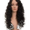 Lace Front Synthetic Full Head Wig