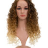 Lace Front Synthetic Full Head Wig