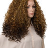Lace Front Synthetic Full Head Wig